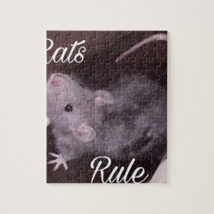 Puzzle Règle de rats