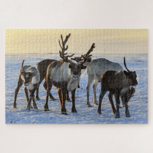 Puzzle Reindeer Family in the Snow