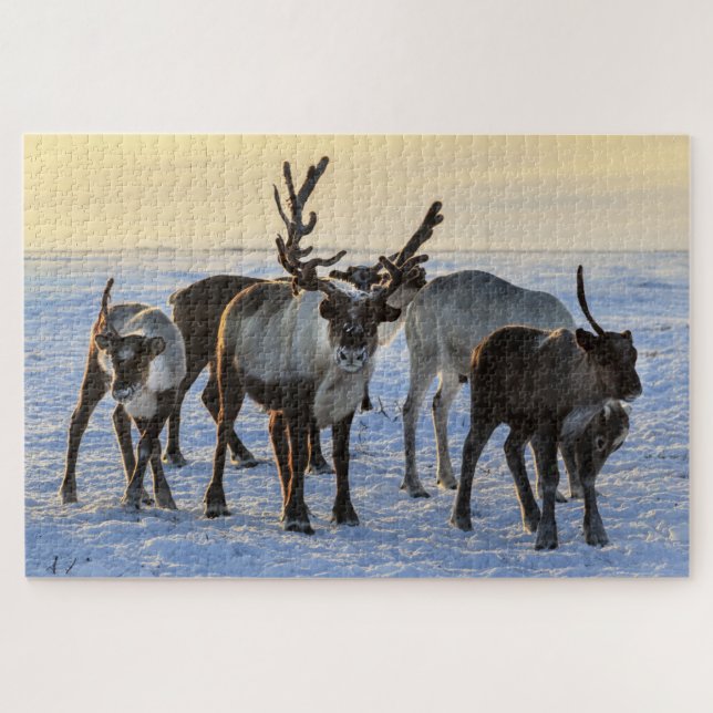Puzzle Reindeer Family in the Snow (Horizontal)