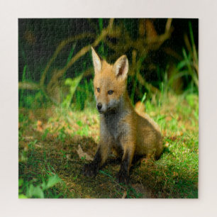 Puzzle Renard bébé adorable