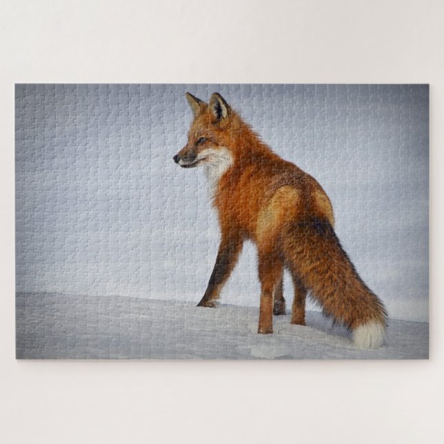 Puzzle Renard Brown marchant sur la neige (Horizontal)