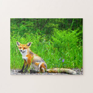 Puzzle Renard canadien