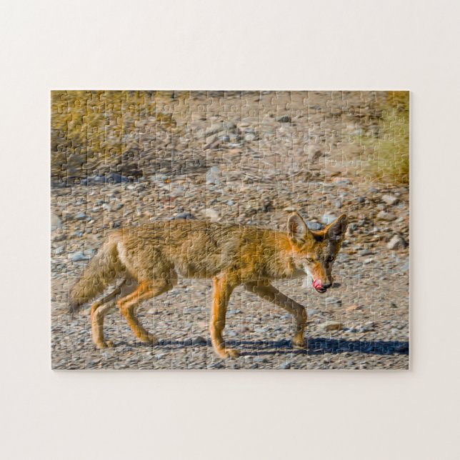 Puzzle Renard du désert de la vallée de la mort. (Horizontal)