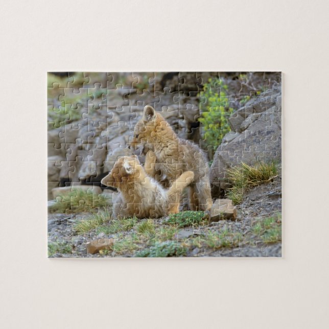 Puzzle Renard gris d'Amérique du Sud (Lycalopex griseus)  (Horizontal)