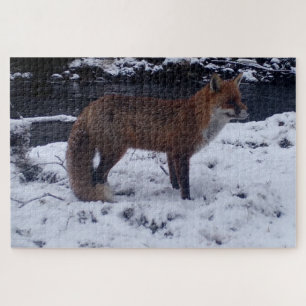 Puzzle Renard Rouge Mignon dans une Scène de Forêt enneig