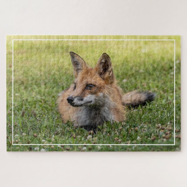 Puzzle Renard Rouge Sur Un Lit De Clover (Horizonal) (Horizontal)