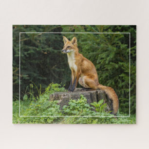 Puzzle Renard Rouge Sur Un Piédestal