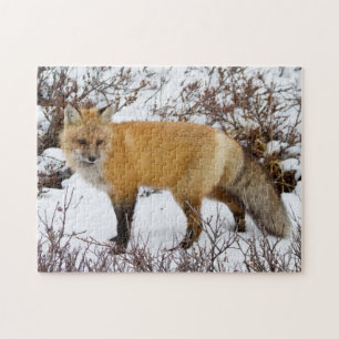 Puzzle Renard roux dans la neige en hiver
