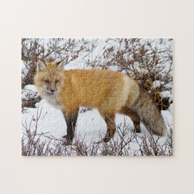 Puzzle Renard roux dans la neige en hiver (Horizontal)
