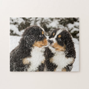 Puzzle Reniflement de marionnettes de chien de montagne