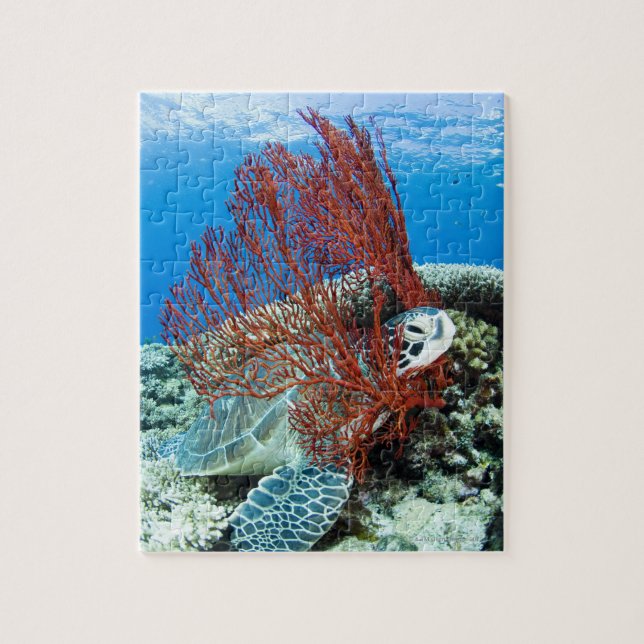 Puzzle Repos de tortue de mer (Vertical)