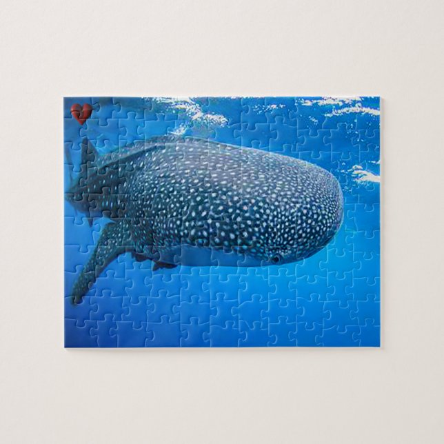 Puzzle Requin baleine (Horizontal)