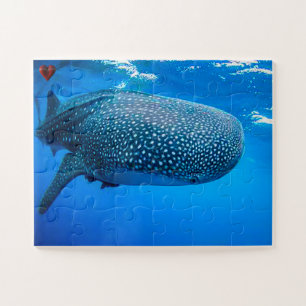 Puzzle Requin baleine