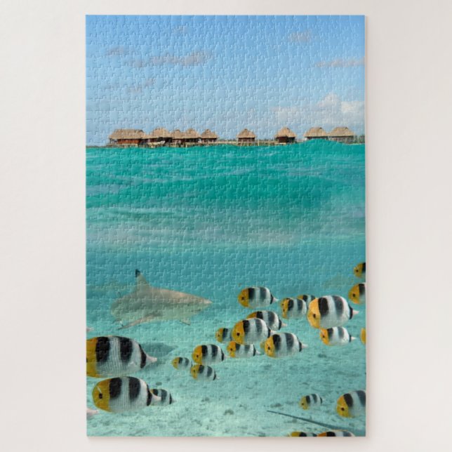 Puzzle Requin chassant des poissons dans la lagune (Vertical)