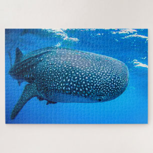 Puzzle Requins baleines
