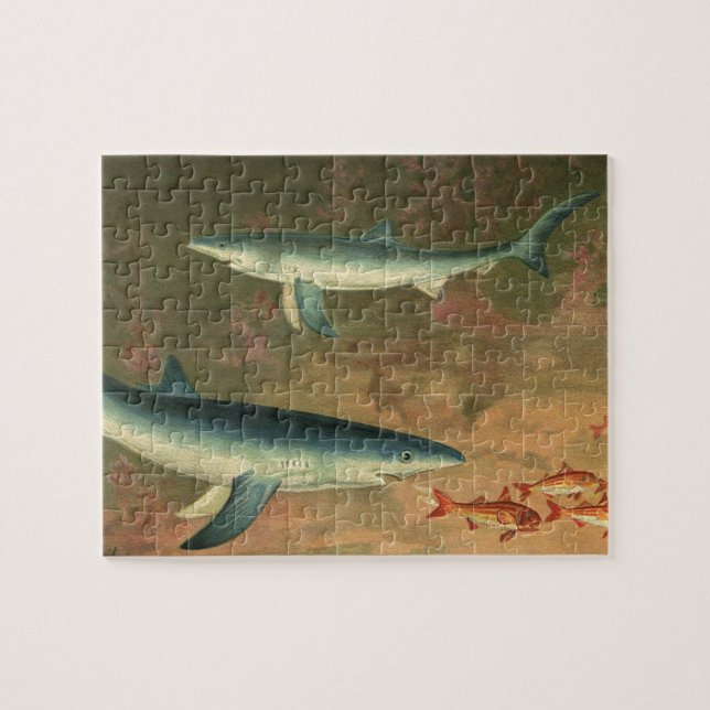 Puzzle Requins Bleus Mangeant des Poissons, Vie Marine Vi (Horizontal)