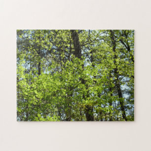 Puzzle Ressource Feuille