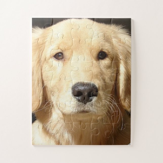Puzzle Retriever doré (Vertical)