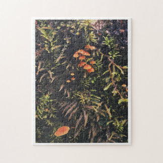 Puzzle Rêves de champignons