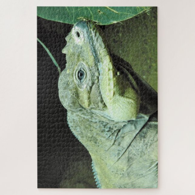 Puzzle Rhinoceros Iguana (Vertical)