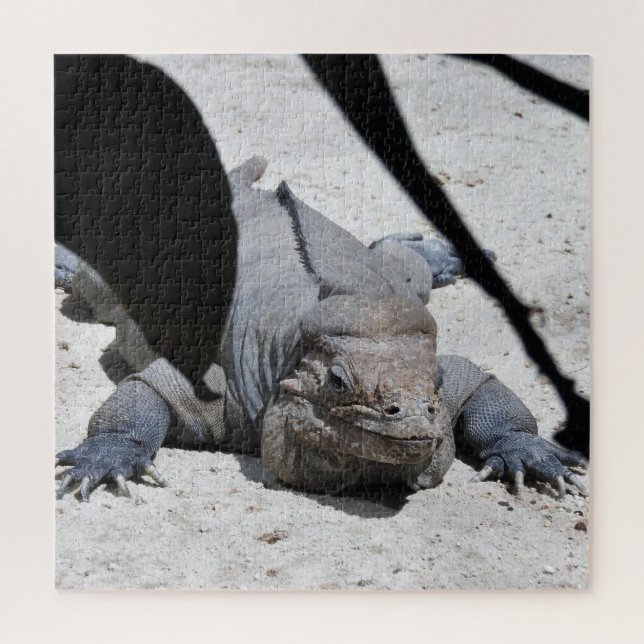 Puzzle Rhinoceros Iguana (Vertical)