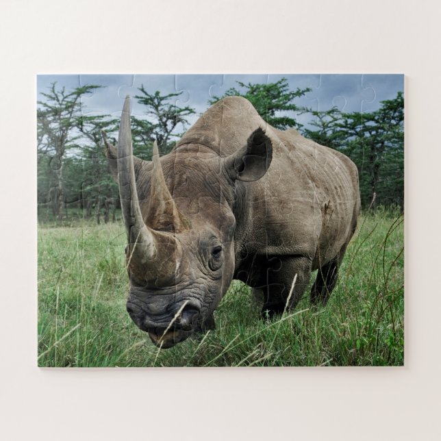 Puzzle Rhinoceros noirs | Kenya (Horizontal)