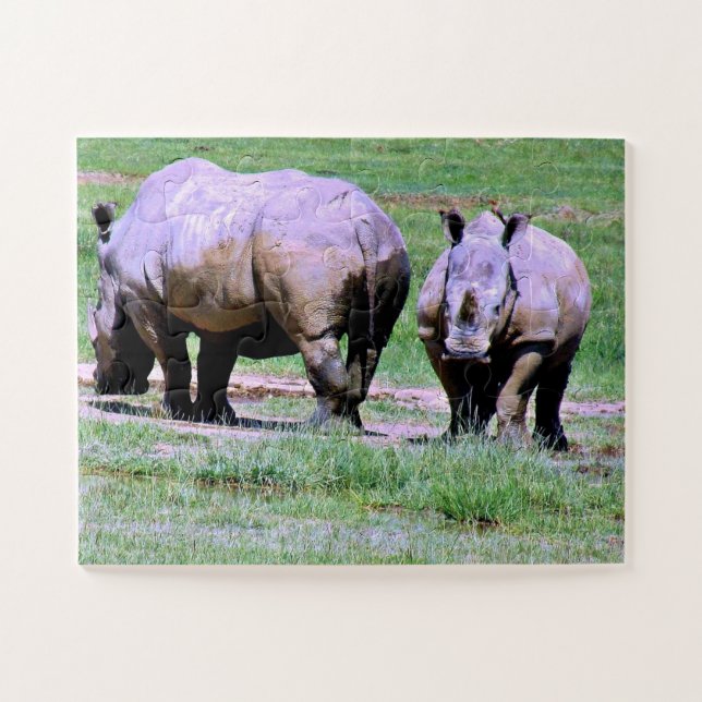 Puzzle Rhinos sud-africains (Horizontal)