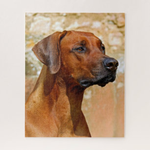 Puzzle Rhodesian Ridgeback