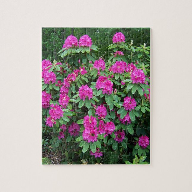 Puzzle Rhododendron de forêt (Vertical)