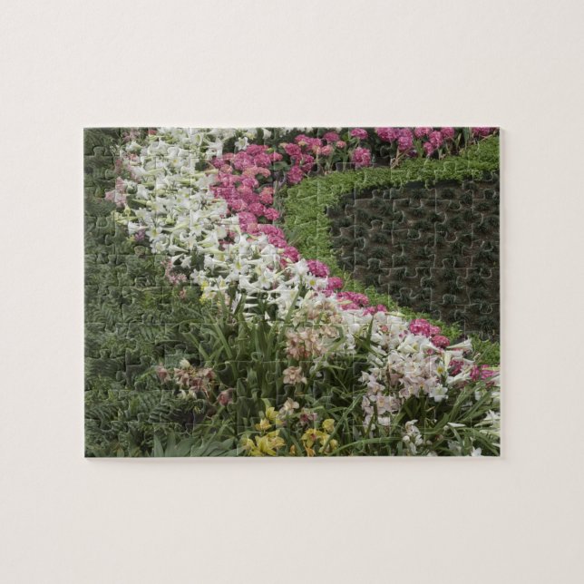 Puzzle Rhododendron (Rhododendron catawbiense) Lande (Horizontal)