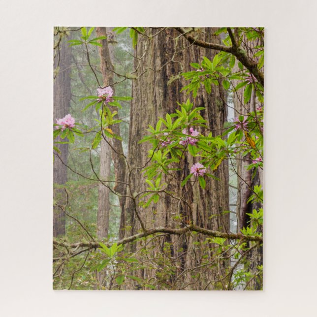 Puzzle Rhododendrons en fleurs | Redwoods State Park,CA (Vertical)