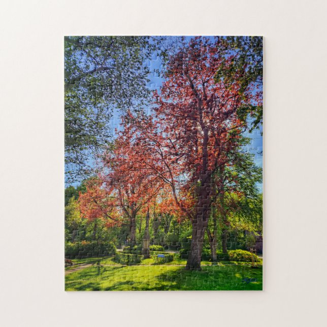 Puzzle "Rincón de luz - Einbeck en primavera" (Vertical)