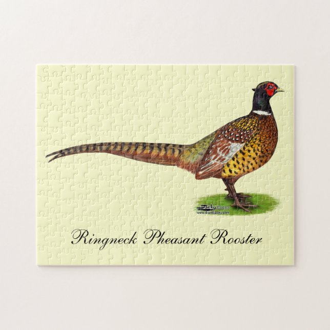 Puzzle Ringneck Pheasant Rooster (Horizontal)