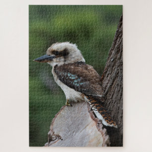 Puzzle Rire Kookaburra Bird in a Tree, 1014 pièces