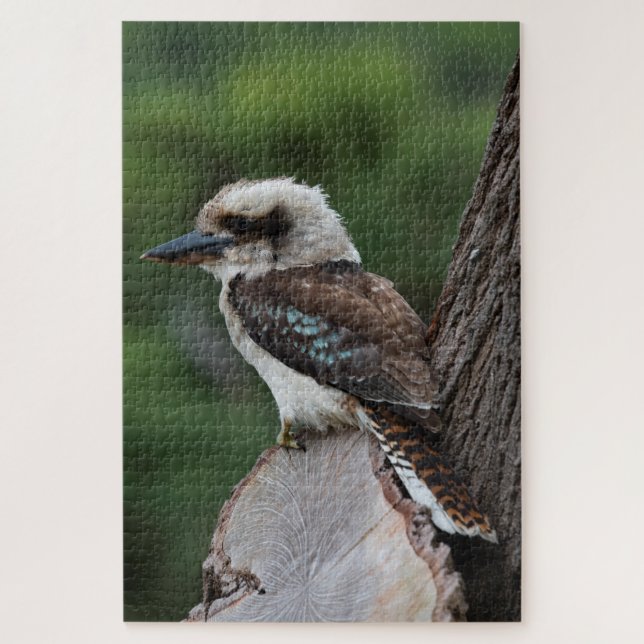 Puzzle Rire Kookaburra Bird in a Tree, 1014 pièces (Vertical)