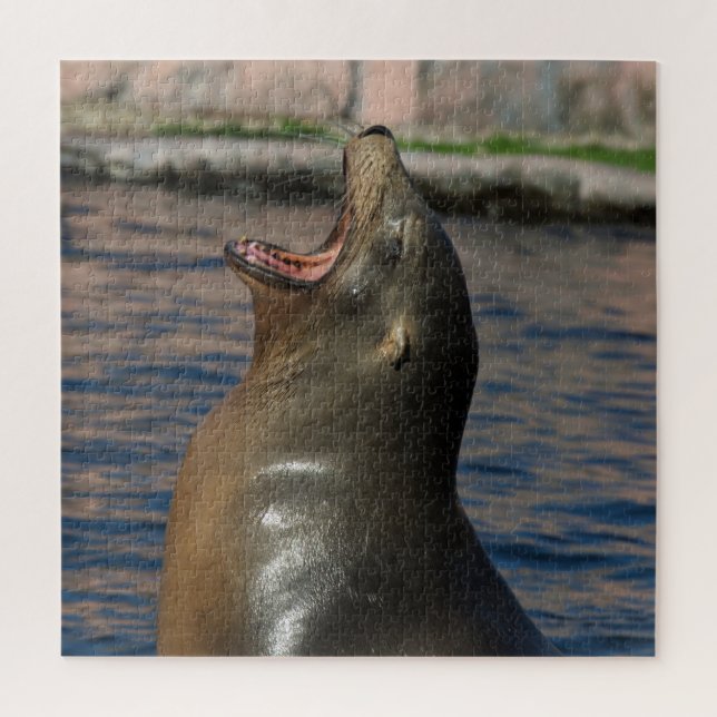 Puzzle Rire le phoque (Vertical)
