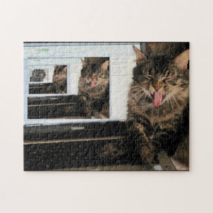 Puzzle Rires high tech en 3D