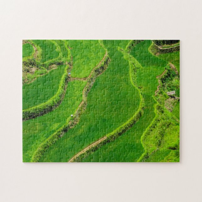 Puzzle Rizières (Horizontal)