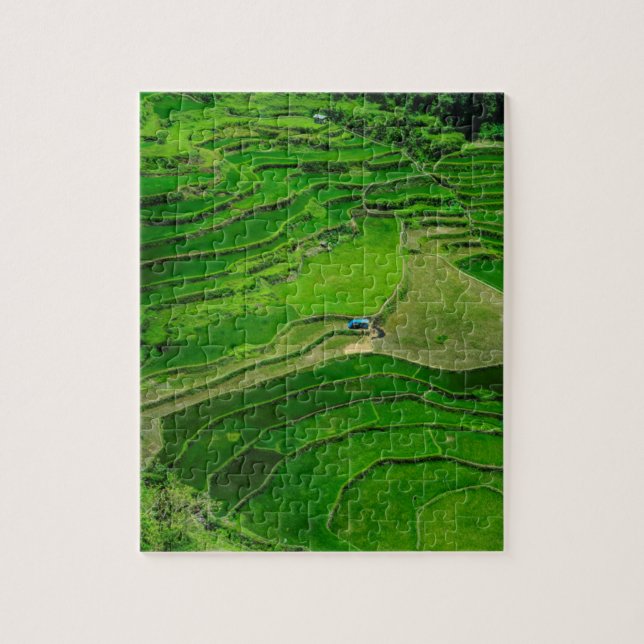 Puzzle Rizières vertes, Philippines (Vertical)