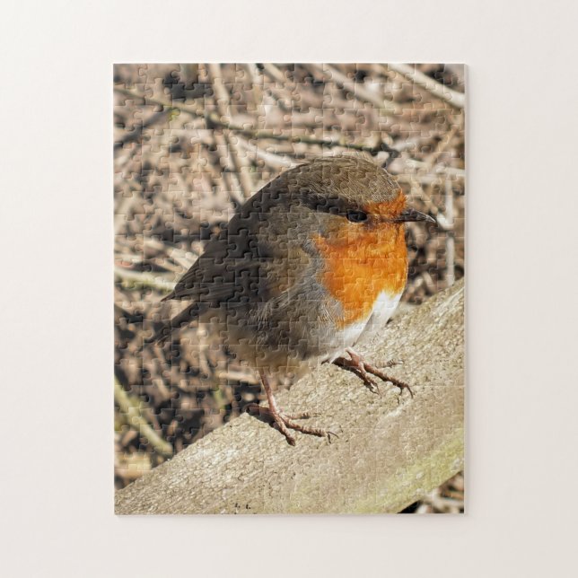 PUZZLE ROBIN (Vertical)