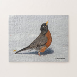 Puzzle Robin américain dans la neige