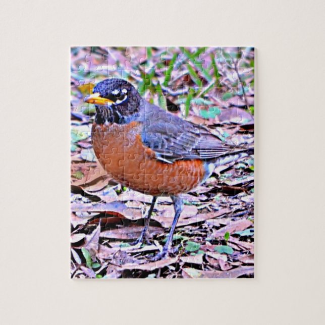 Puzzle Robin (American Robin) (Vertical)