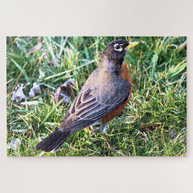 Puzzle Robin en herbe (Horizontal)