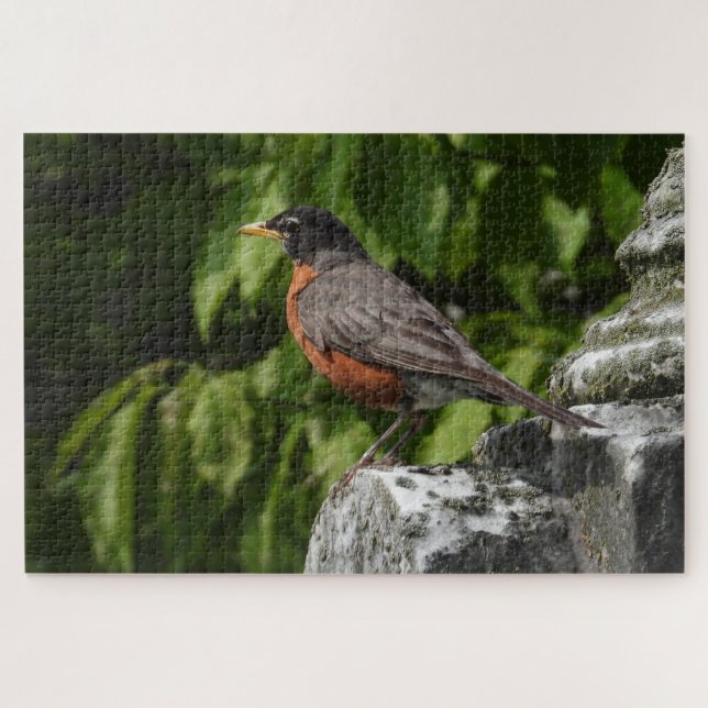Puzzle Robin sur une pierre de tête (Horizontal)