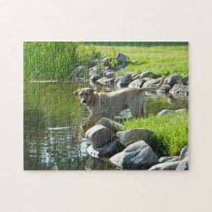 Puzzle Roches de lac labrador Retriever