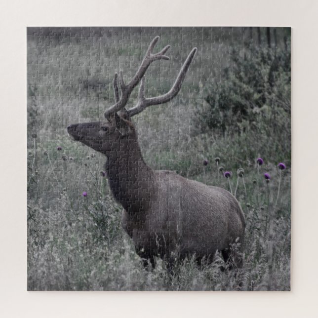 Puzzle Rocky Mountain Elk - RMNP - 20x20 - 676 pcs. (Vertical)