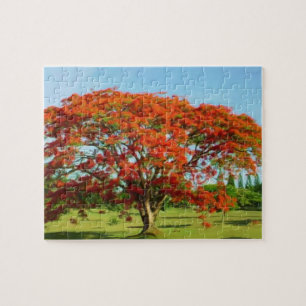 Puzzle Rompecabeza Flamboyán/Puzzle Royal Poinciana