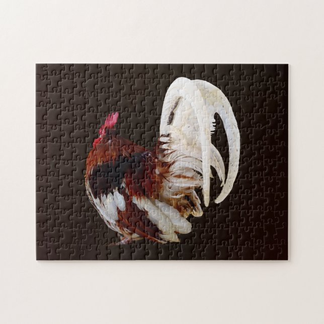 Puzzle Rooster Rouge Avec Plumes De Queue Blanche (Horizontal)