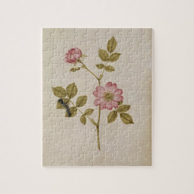 Puzzle Rosa Canina - Dogrose et Caterpillar (crayon et (Vertical)