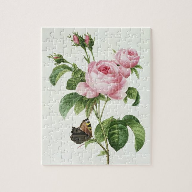 Puzzle Rosa Centifolia (Vertical)